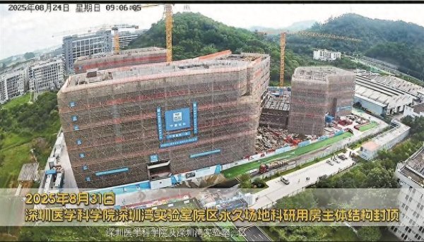 涨配资 深圳医学科学院及深圳湾实验室院区永久场地科研用房主体结构封顶