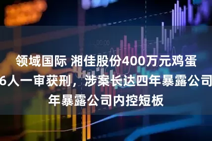 领域国际 湘佳股份400万元鸡蛋被侵占，6人一审获刑，涉案长达四年暴露公司内控短板